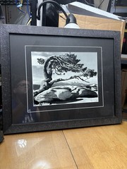 7 Framed & Matted Ansel Adams Prints: Denali, Winter Storm, Siesta, Etc