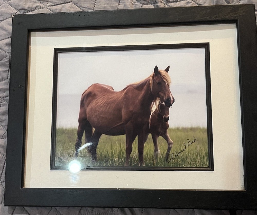Signed C. Clement Beck Horse Photograph Framed 15” X 12.75”