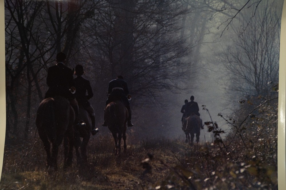 Analog Photo France Hunting Hound Horse 24X30CM 1970