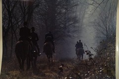 Analog Photo France Hunting Hound Horse 24X30CM 1970