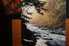 Vintage Signed 8×12 Photo W. Beebe East Tennessee Mountain Stream