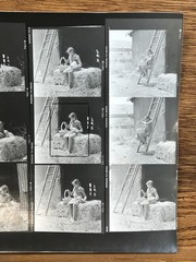 NEWLY FOUND Hendrickson PHOTO Contact Sheet Proof/Negs GIRL HOLDS KITTEN & DUCKS