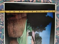 Jaime Martinez 2013 Print Lot (3) Photography Versace GIF Artist Mexico SIGNED