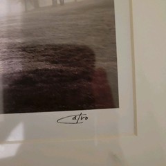 Calvo Trees «In Just Spring», Black & White Print By Richard Calvo, Framed