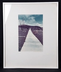 Framed Photograph by Gary Masline 1975 Signed 25″x21″ Frame Excellent Condition!