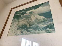Don Krogh Monterey Cypress Pebble Beach California Photo MID CENTURY Modern ERA