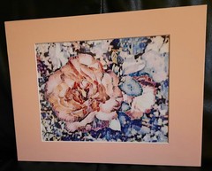 Matted Photograph: Rose Whispers