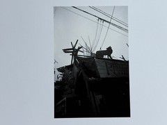 🎈SIGNED! Daido Moriyama – Route 16, 2004 First Limited Edition, Japan SupRARE!