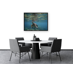 Sea Turtle Hawaii Cerca Trova limited edition Fine Art Photography