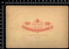 Cabinet-Photo-Weissenfelder-See-Laghi di Fusine-Alois Beer-Klagenfurth-1885-