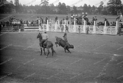 Negative-Rodeo-Festival-Colorado-Mountain-USA-United States of America-1930s-26