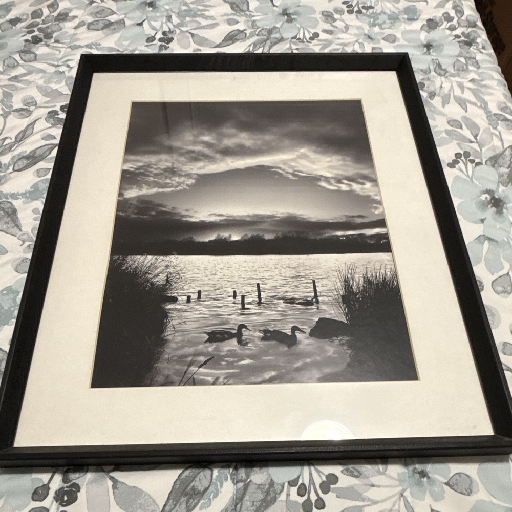 Black & White Framed Matted Portrait Lake Landscape Photograph Print w/ Ducks