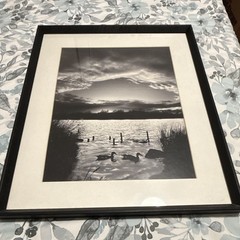 Black & White Framed Matted Portrait Lake Landscape Photograph Print w/ Ducks