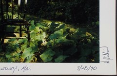 Original Signed 1990 Photograph Mary Turtle’s Garden by David Hilliard Listed