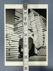 Student Studying In Book Stacks c. 1960 Fotofolio Art Photo Print Card 4.25”x6”