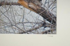 Tom Adams Photography Great Horned Owls Pair Oregon Matted Photo Art 11X14