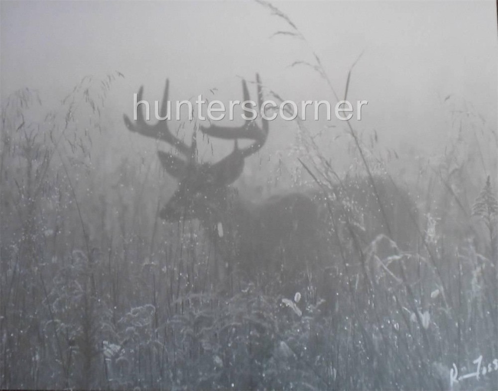 Buck Deer in Fog «The Ghost», 11×14 Ken Goss signed photograph