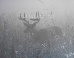 Buck Deer in Fog «The Ghost», 11×14 Ken Goss signed photograph