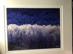 Mantle of White Ron Mellott matted photography Hoar Frost Nooksack River, Wa