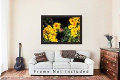 Wildflower Photography Print – Picture of Monarch Butterfly in Oklahoma