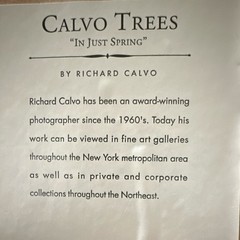 Richard Calvo ‘In Just Spring’ Framed Black & White Landscape Tree Photograph
