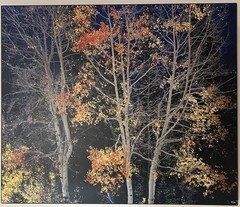 Rodney Lough Jr. «Silver Aspen» Limited Edition #83/500 French Cleat 26×22”