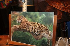 8×11 Photo Print Mounted on Mat Board Leopard