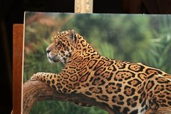 8×11 Photo Print Mounted on Mat Board Leopard