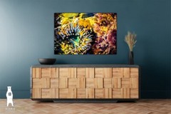 Sea Anemone – Fine Art Prints – Underwater Ocean Life Décor