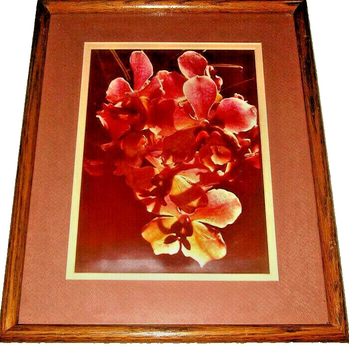 photograph vanda orchids double mat teak wood frame ready to hang vintage