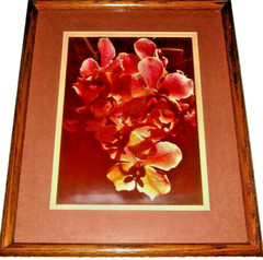 photograph vanda orchids double mat teak wood frame ready to hang vintage