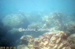 Digital Image Picture Photo Pic Andaman India underwater coral life scuba AND003