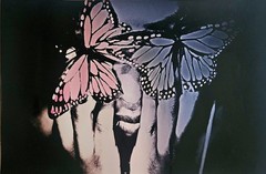 Layla Love Original Photograph with Authenticity Certificate. Butterfly Effect.
