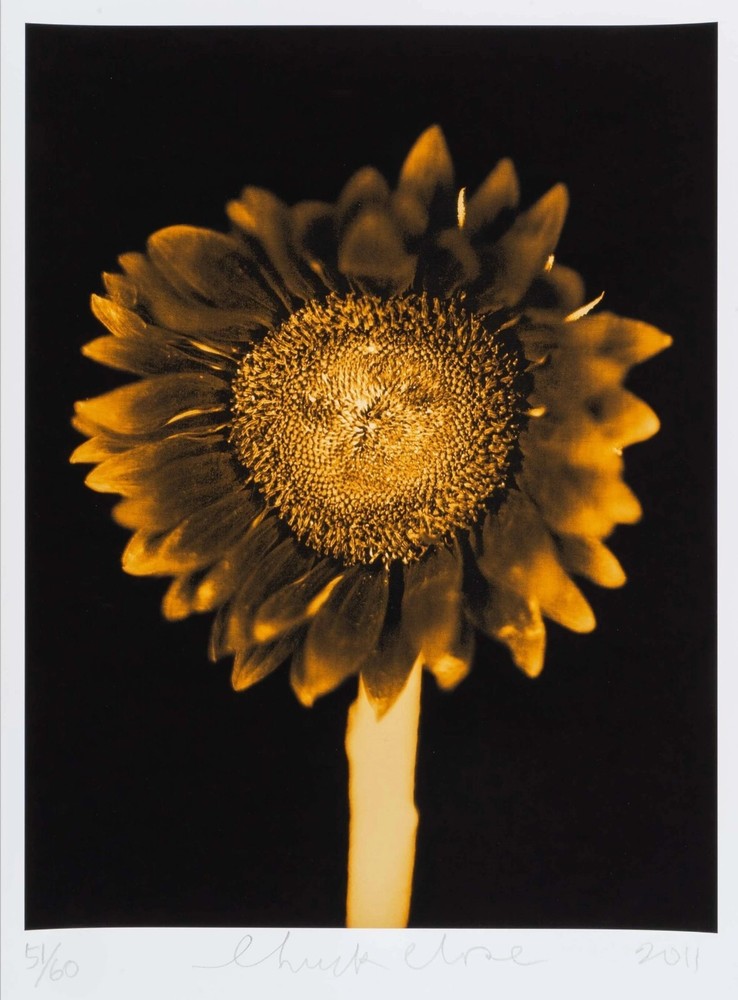 CHUCK CLOSE ‘Sunflower’, 2006/2011 SIGNED Photograph 24 x 18 in. #32/60 **NEW**