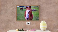 Close-up on a Wild Horse High Resolution Image, In Many Formats, TV Art