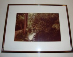 Park Walkway Photo Water In A Schneider Custom Frame Pewter Metal Park Nature