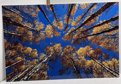 Float Mounted Metal Print “Into Blue» 20” x 30″