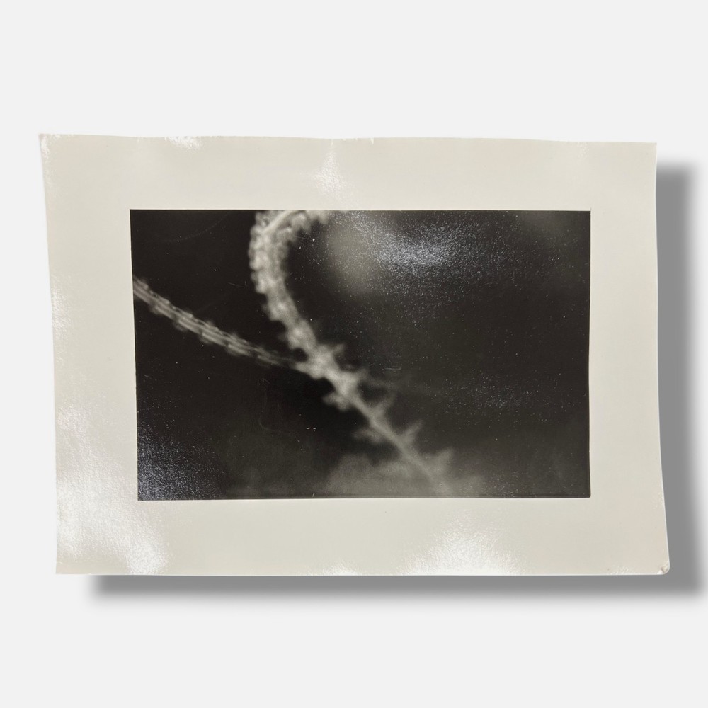 Toni Crabb «FIber 1 (Moths) III» Limited Signed Art Photography Print, 12×17 cm