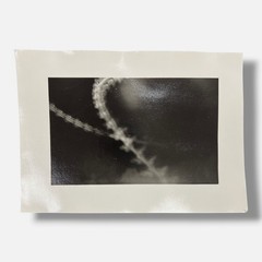 Toni Crabb «FIber 1 (Moths) III» Limited Signed Art Photography Print, 12×17 cm