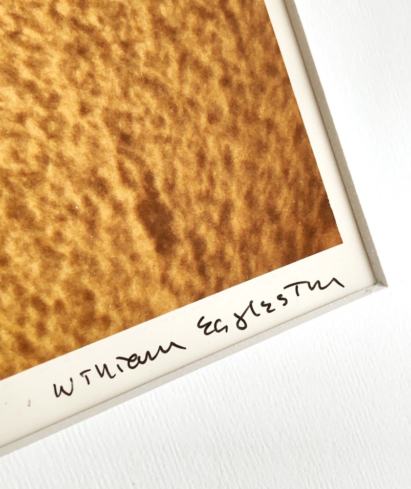 William Eggleston signed color photograph of beach sand
