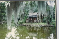 NEW ORLEANS PHOTOGRAPH SIGNED MARITA CAJUN COTTAGE SWAMP MOSS