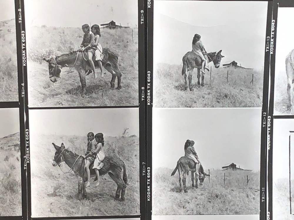 NEWLY FOUND! Hendrickson PHOTO Contact Sheet Proof & Negatives GIRLS RIDE DONKEY