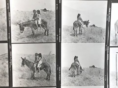NEWLY FOUND! Hendrickson PHOTO Contact Sheet Proof & Negatives GIRLS RIDE DONKEY