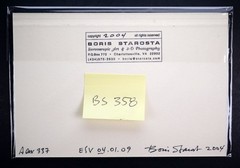 Boris Starosta 3D Stereoview – Alex 337 – nude model signed 2004 #358