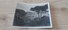old b/w LEPORELLO PHOTO ITALY SANTA MARGHERITA
