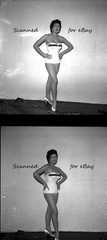 16 NEGATIVES LEGGY BUSTY ACTRESS ANNE AUBREY WARWICK FILMS STAR GLAMOUR – 1950s