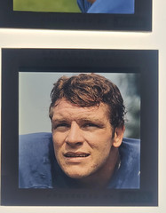 Vtg 60s MIKE CURTIS RC BALTIMORE COLTS PORTRAITS Richard Stacks FOOTBALL NFL