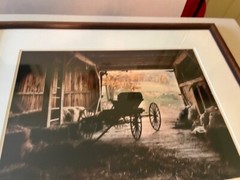 Bill Coleman – Amish Buggy – Photography Matted & Framed 26.5″ x 22.5″ – Signed!
