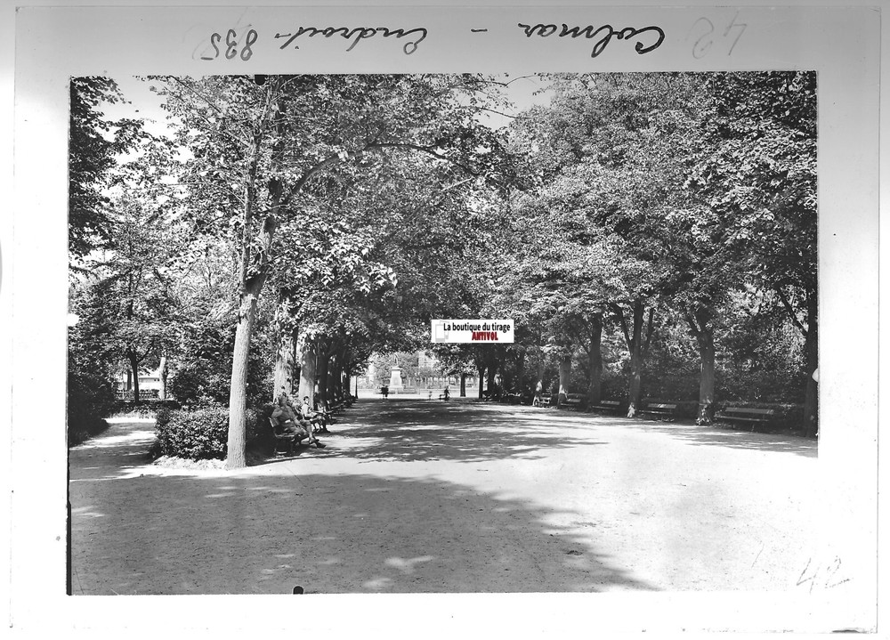 Glass Photo Positive Black & White 13×18 cm Colmar, Public Garden, France