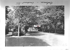 Glass Photo Positive Black & White 13×18 cm Colmar, Public Garden, France